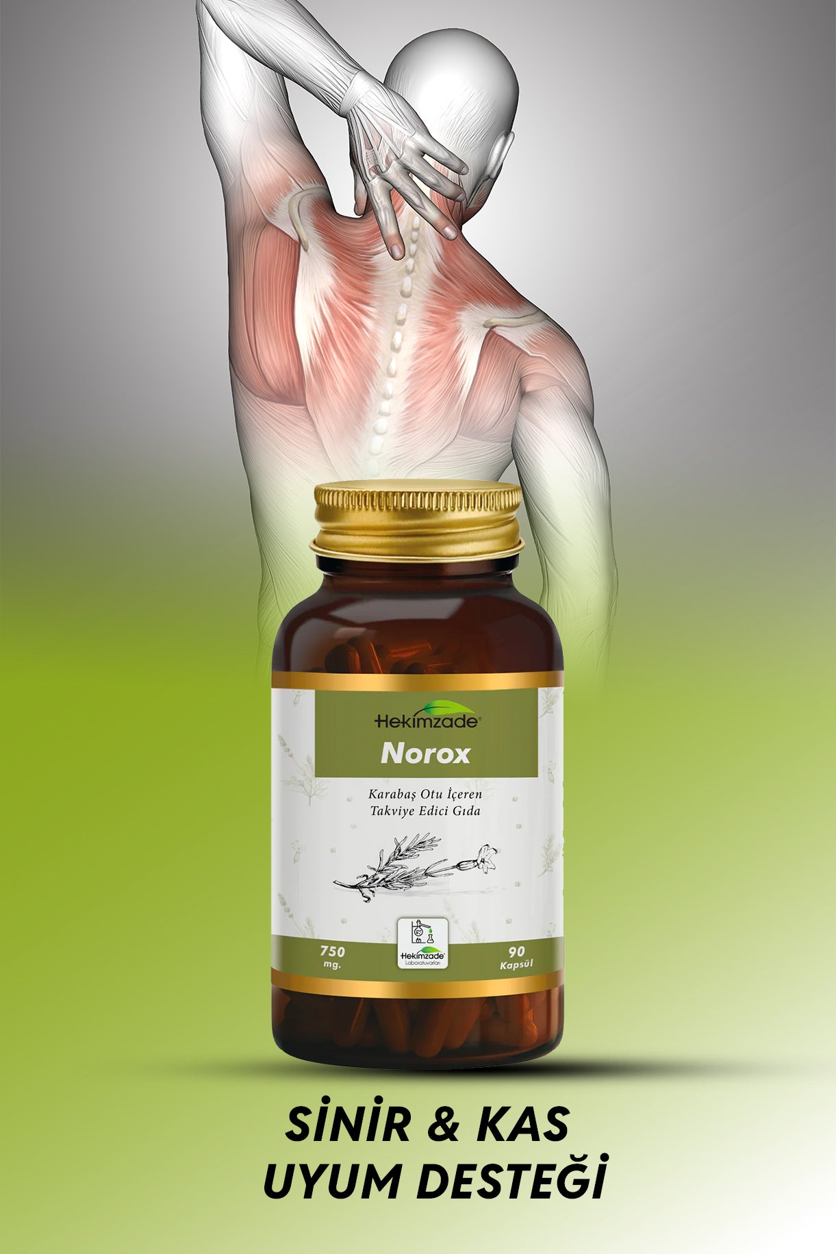 NOROX 90 KAPSÜL 750mg - مكمل غذائي يحتوي على الخزامى المكورة 