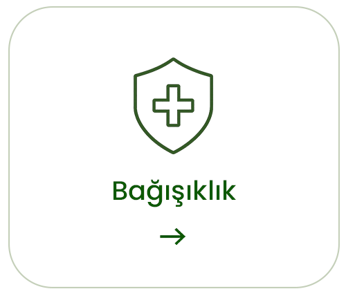 Bağışıklık
