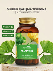 MAMMOR 90 KAPSÜL 500mg - Ginkgo İçeren Takviye Edici Gıda