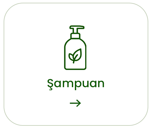 Şampuanlar