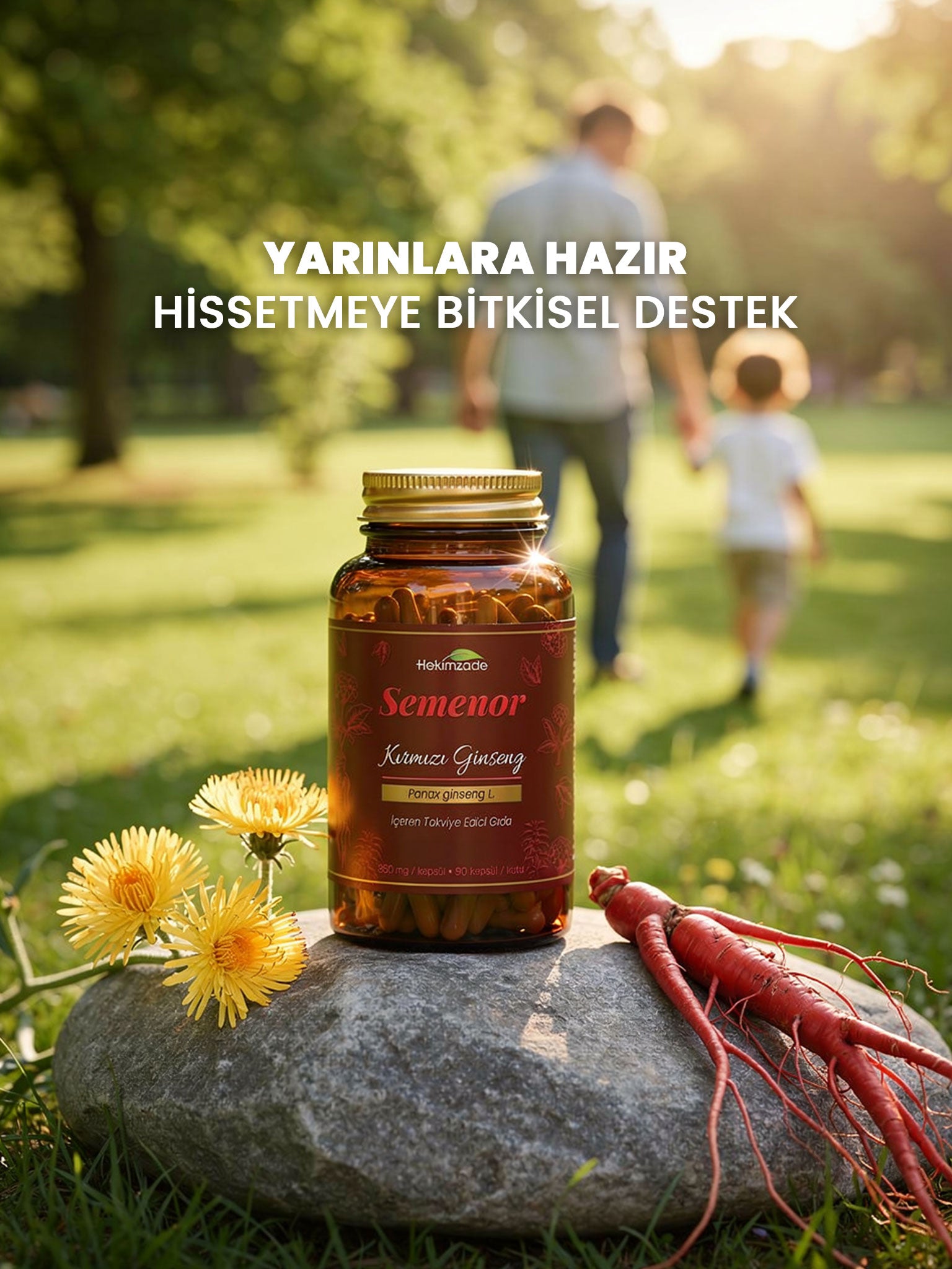 SEMENOR 90 KAPSÜL 850mg - Aspir Otu İçeren Takviye Edici Gıda