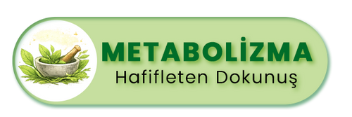 Metabolizma