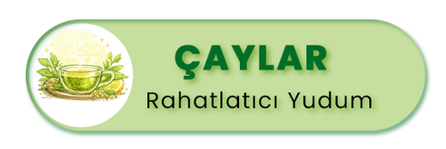 Bitkisel Çaylar