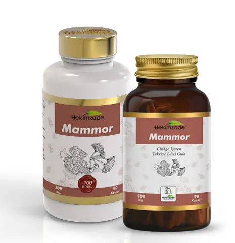 MAMMOR 90 KAPSÜL 500mg - Ginkgo İçeren Takviye Edici Gıda